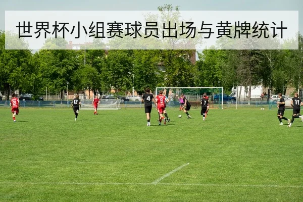 世界杯小组赛球员出场与黄牌统计