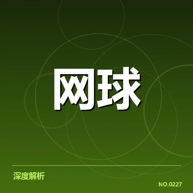 李娜伤后助教团队具体调度事实